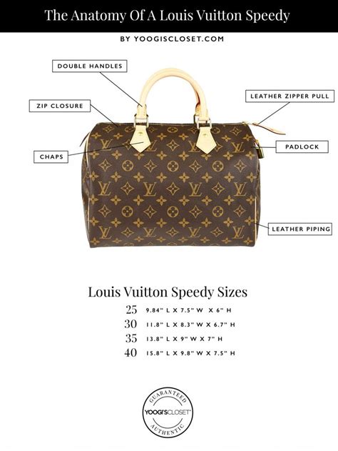 speedy 30 size